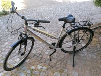 Damen Fahrrad Dresden - Gompitz Vorschau