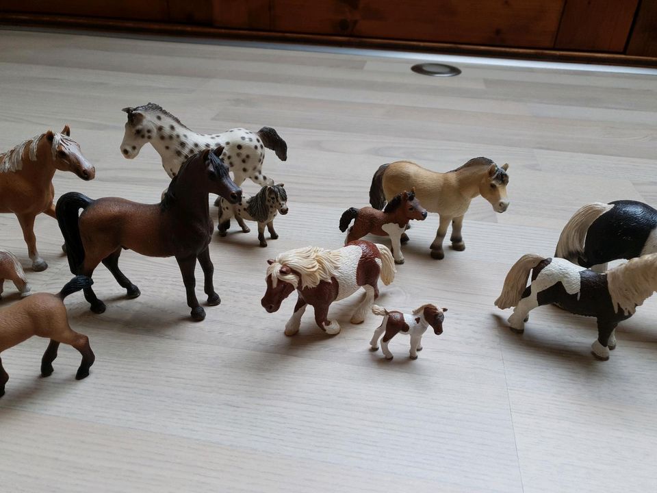 Schleich Pferde 12,Stück in Rosengarten