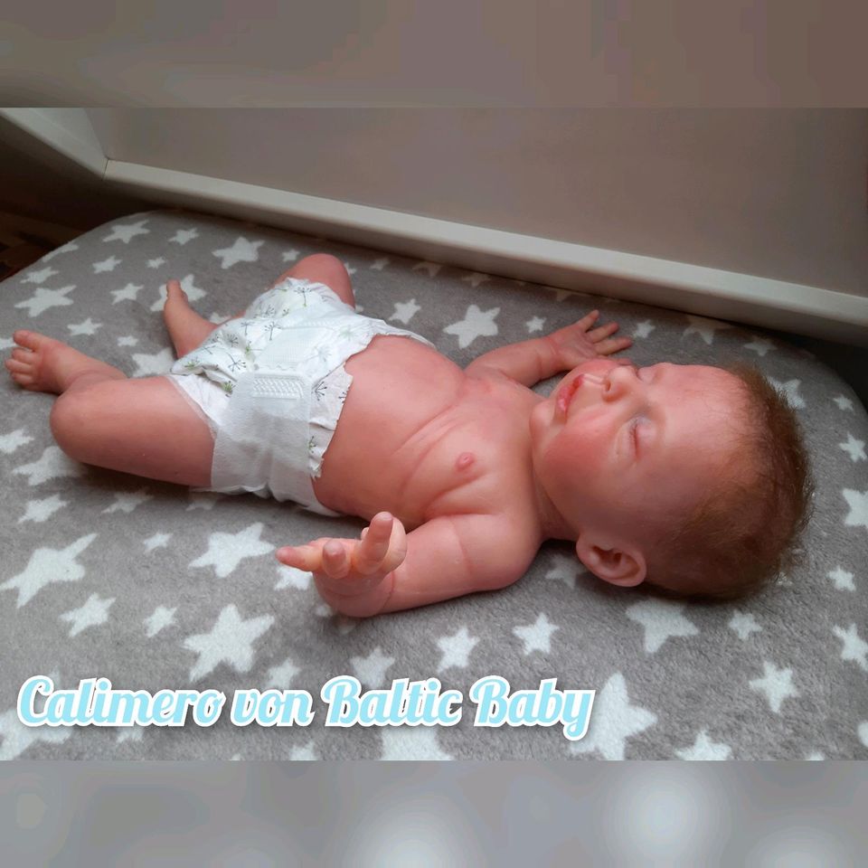 Suche Tausch! Reborn gegen Silikonbaby Rebornbaby Rebornpuppe in Viernheim