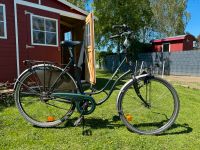 Fahrrad / Citybike / Damenrad 28 Zoll Schleswig-Holstein - Wilster Vorschau
