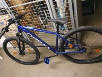 Orbea MTB Hardtail Blau + Pedale + wie neu + Orbea Onna 50 M 29" Brandenburg - Velten Vorschau