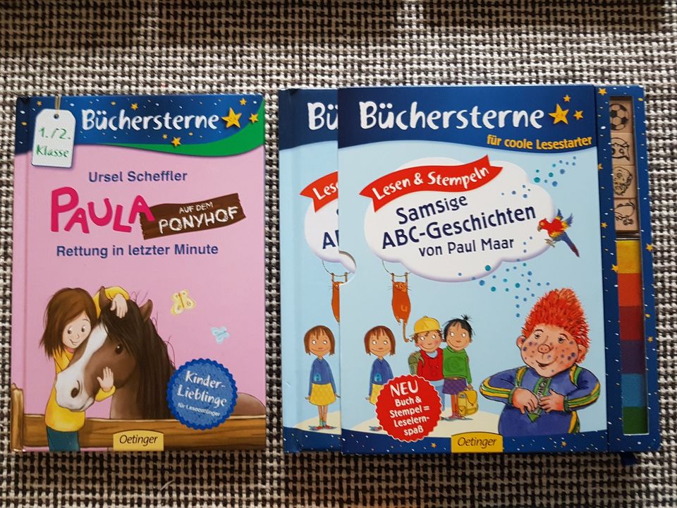 Oettinger Büchersterne Paula Ponyhof in Mayen