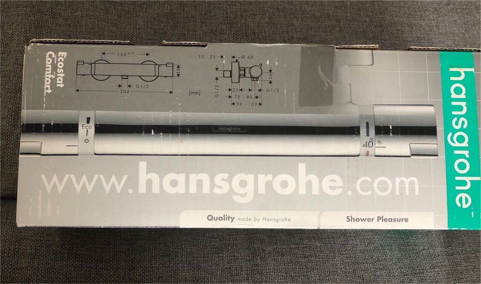 Hansgrohe Thermostat ecostar comfort in Bad Salzschlirf