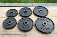 2 x 15 kg Gym80 Olympia Guss Hantelscheiben-Set Oldschool 50mm Brandenburg - Panketal Vorschau
