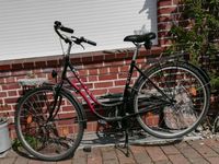 Damenfahrrad, für Bastler, 5 G Nabenschaltung 5 Schleswig-Holstein - Neuwittenbek Vorschau