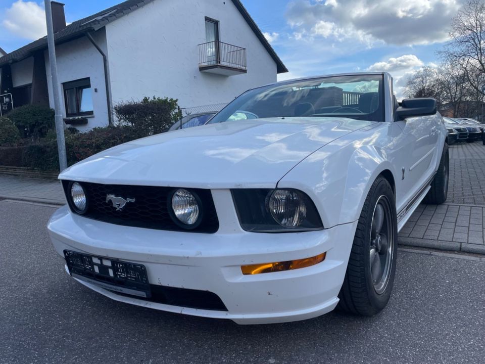 Ford Mustang V6 GT Cabrio 500 in Waghäusel
