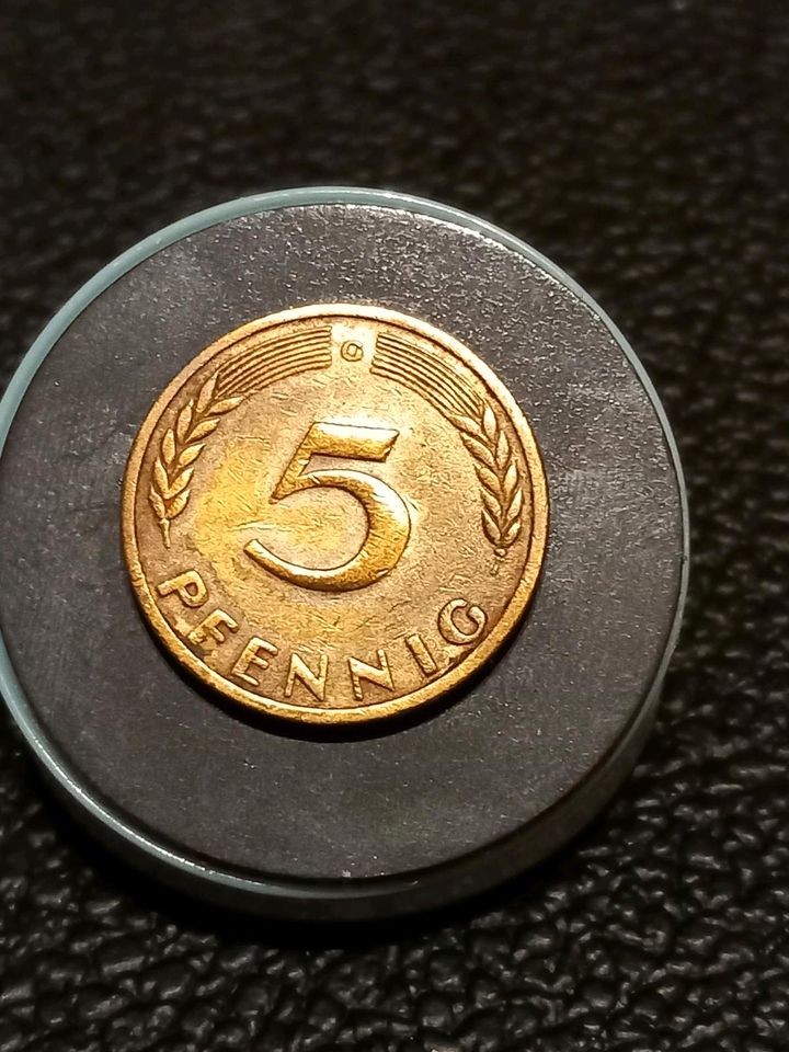 5 Pfennig G 1949 BDL in Horn-Bad Meinberg