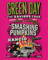 Green Day Tickets für Hamburg Niedersachsen - Lingen (Ems) Vorschau
