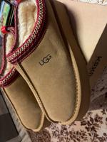 Damen Schuhe UGG Neuö Niedersachsen - Bramsche Vorschau