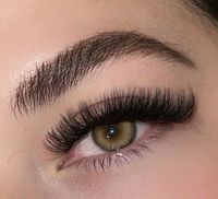 WimpernVerlängerung, megavolumen , Wimpernextensions Hamburg-Mitte - Hamburg Borgfelde Vorschau