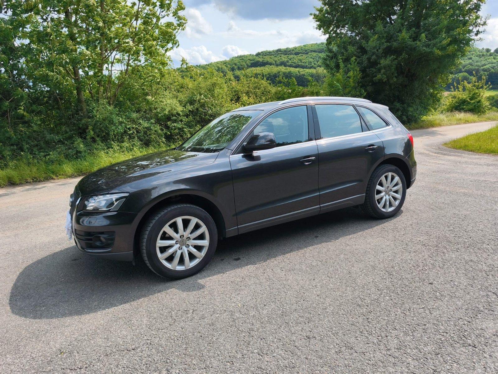 Abbildung des Autos Audi Audi q5 Quattro