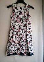 Kleid Orsay Gr 36 Bayern - Königsbrunn Vorschau
