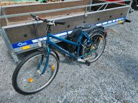 Fahrrad,  Damenrad, Kinderfahrrad 26er Sachsen - Königsbrück Vorschau