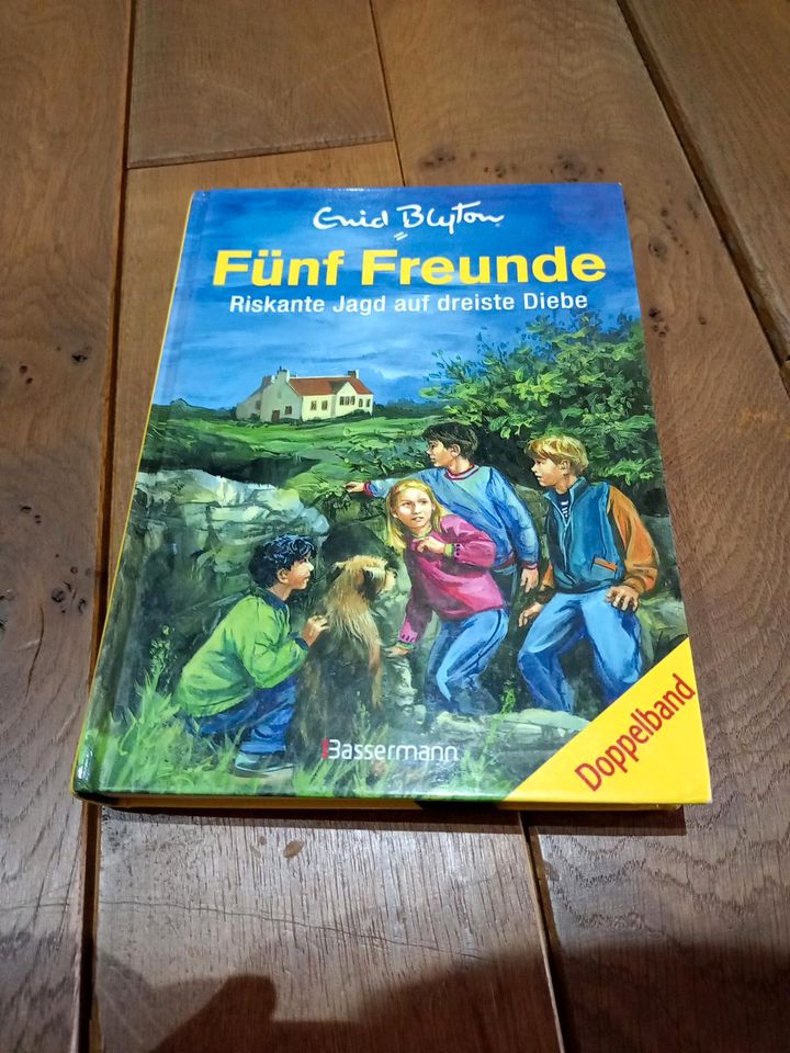 Fünf Freunde Bücher in Nettersheim