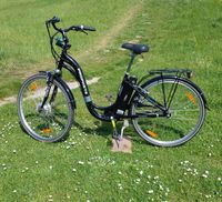 Ein lieber Wegbegleiter  - Damen  E-Bike 28 Zoll Sachsen-Anhalt - Bad Kösen Vorschau