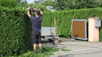 Suche (Hobby) Gärtner für gelegentliche Hilfsarbeiten Hessen - Rüsselsheim Vorschau