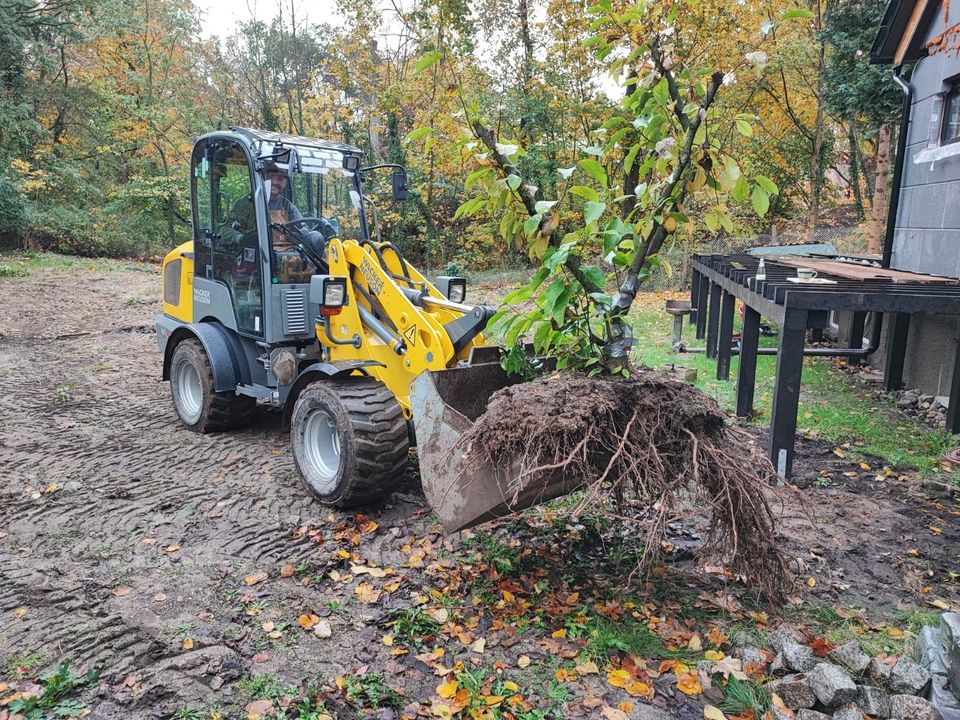 Minibagger Bagger Radlader Baumaschinen Mieten Leihen Vermieten in Storkow (Mark)