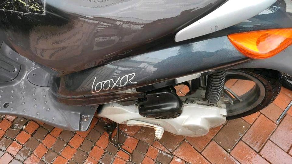 Peugeot Roller LOOXOR in Werther (Westfalen)