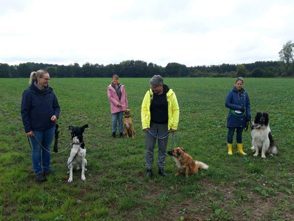 Hundeschule Angela Schwarzer SOCIAL WALK in Burgdorf