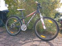 MTB Scott Aspect 50s Mountainbike, Kinderfahrrad. Rheinland-Pfalz - Mudersbach Vorschau