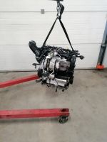 Motor Komplett AUDI Q3 CUV CUVC 2.0 TDI 65.000km 184 PS Brandenburg - Küstriner Vorland Vorschau