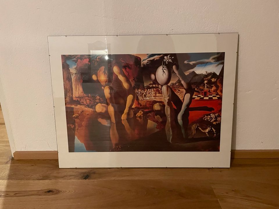 Salvador Dali Poster Metamorphose des Naziss Kunstdruck in Mainz