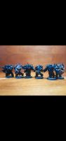 Auserkorene Dark Vengeance Box||Warhammer 40K Sachsen - Freital Vorschau