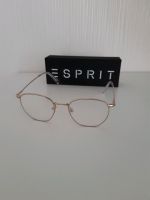 Brillengestell von Esprit Niedersachsen - Schöningen Vorschau