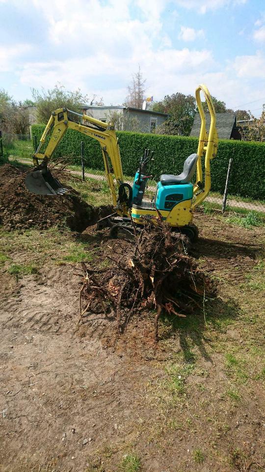 Baggerarbeiten, Vegetationspflege, Heckenentfernung, Heckenneupfl in Halle