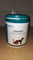 Colactiv Ergänzungsfutter Verdauungsförderung Katze Hund Leipzig - Connewitz Vorschau
