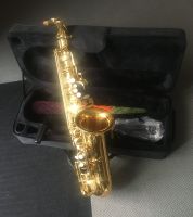 Es Alt Saxophone von Ammoon Sachsen-Anhalt - Salzwedel Vorschau