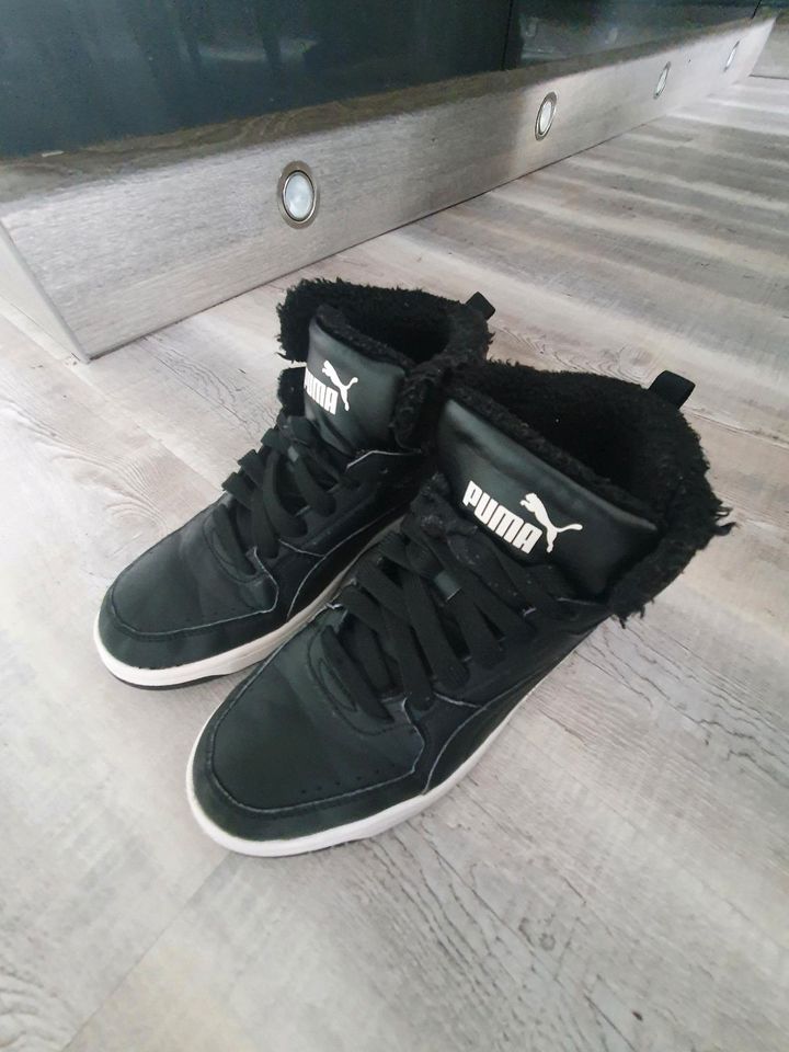 Puma Schuhe warm Gr.40 TOP in Hamm (Sieg)