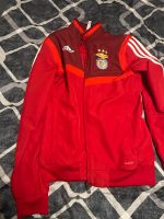 Benfica Trainings Jacke Baden-Württemberg - Böblingen Vorschau