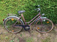 Retro Fahrrad Mars rosa Metallic Mädchen Damen 26 Zoll Niedersachsen - Adendorf Vorschau