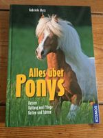 Kinderbuch Alles über Ponys, Gabriele Metz, Kosmos Nordrhein-Westfalen - Frechen Vorschau