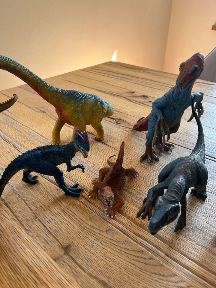 Schleich Dinosaurier besondere Größen neu alle zusammen in Harsum
