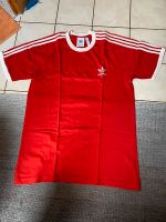 Adidas Basic T-Shirt Bayern - Obernburg Vorschau