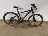 Mountainbike Bulls 29" Hessen - Hofheim am Taunus Vorschau