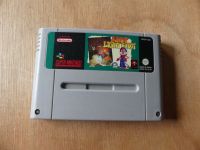 Super Nintendo SNES Spiel Ardy Lightfoot Niedersachsen - Walsrode Vorschau