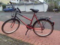 Fahrrad Rex 26er Hessen - Schauenburg Vorschau