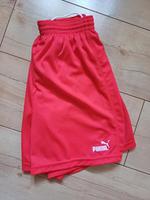 Puma Shorts Nordrhein-Westfalen - Wesseling Vorschau