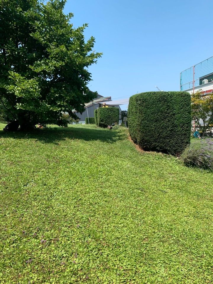 Gärtner-Gartenpflege-Garten Lanschaftsbau in Celle