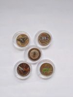 5 EURO Münzen, Wunderwelt Insekten, 5 Stück, BRD Baden-Württemberg - Achern Vorschau