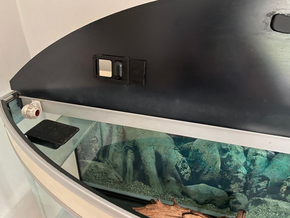 Aquarium 120 cm gewölbt Aquatlantis Unterschrank Birke Glastüren in Erlangen