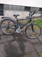 Herren Fahrrad 28 Zoll Duisburg - Walsum Vorschau