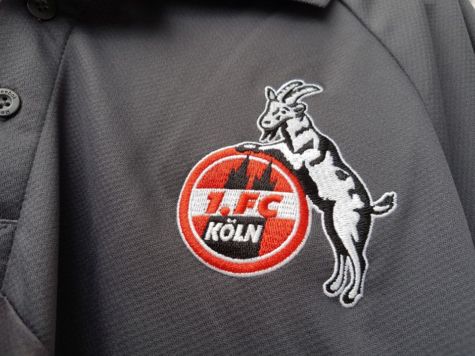 Biete 2 neue orginale Polo-Shirts vom 1.FC Köln!! Größe: L und XL in Burghaun