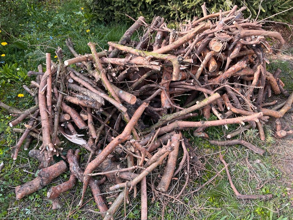 Holzstämme zu verschenken in Steinheim