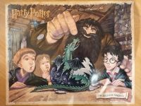 Harry Potter Poster the birth of norbert 2001 Baden-Württemberg - Emmendingen Vorschau