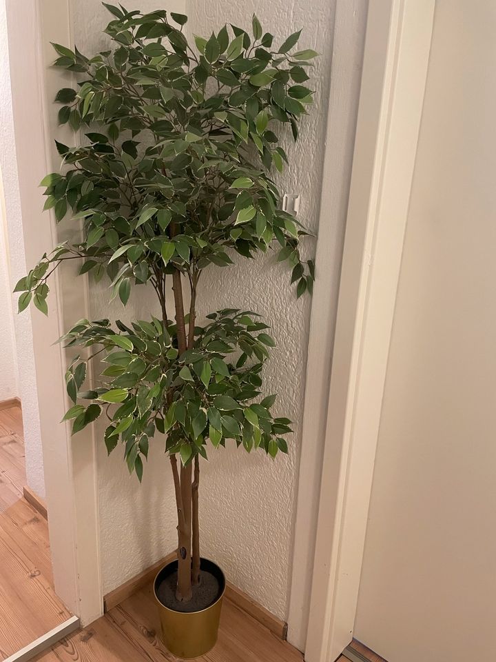 Künstlicher Baum Ikea in Bingen