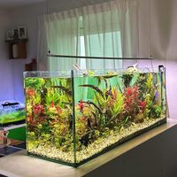 Eheim Aquarium - Glasbecken 240l 120cm Hessen - Wetzlar Vorschau